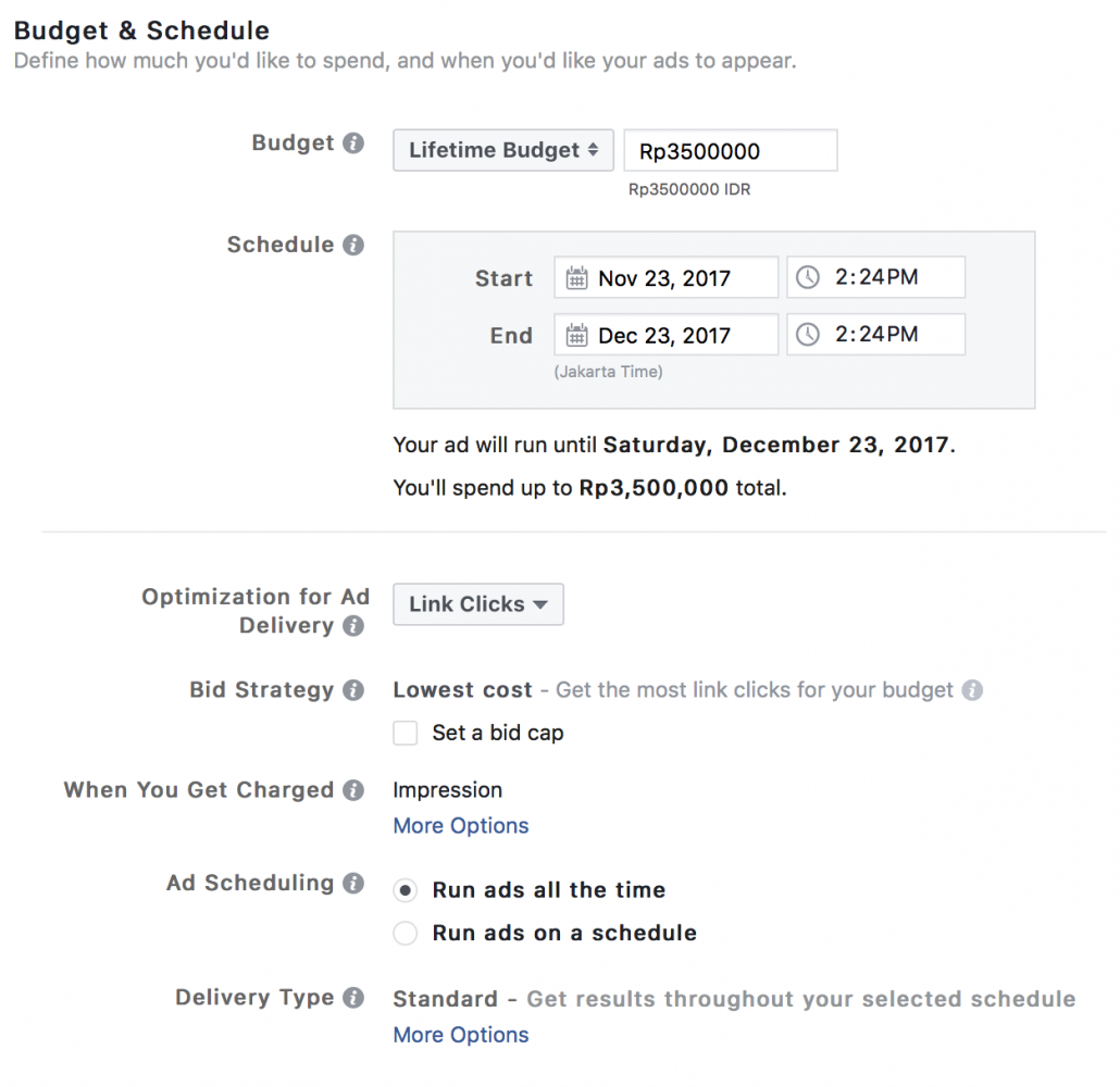 Pengaturan Budget dan Schedule